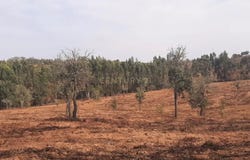 Ourique, Beja District