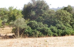 Faro, Algarve 8365-023