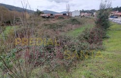 Miranda do Corvo, Coimbra District