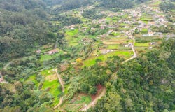 Sao Jorge, Madeira 9230