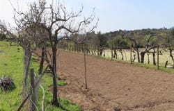 Penamacor, Castelo Branco District 6090