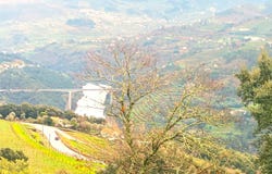Santa Marinha do Zêzere, Porto District