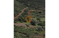 Silves, Faro