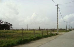 Montijo e Afonsoeiro, Setubal