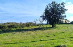 São Pedro de Agostém, Vila Real District