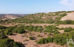 Faro, Algarve