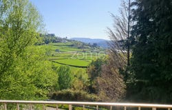 Montalegre, Vila Real District