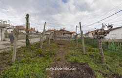 Argoncilhe, Aveiro Municipality 4505