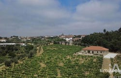 Viseu, Viseu District