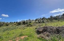 Silves, Faro