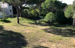 Almancil, FARO