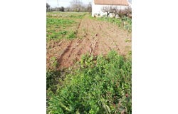 Aljubarrota, Leiria District
