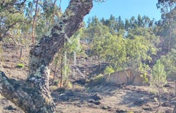 SÃO TEOTÓNIO, Beja District