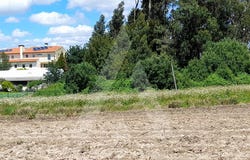 São Bernardo, Aveiro District