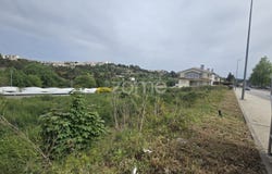 Vila Real, Vila Real District