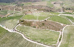 Cedovim, Vila Nova de Foz Côa, Guarda District 5155