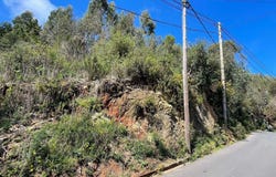 Ilha da Madeira, Madeira