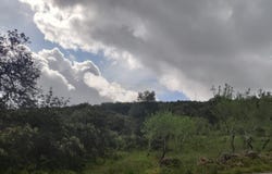 Salir, Algarve