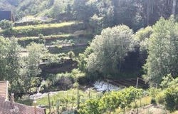 Póvoa de Lanhoso, Braga 4830-203