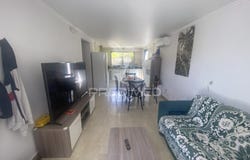 Cedros, Horta, Azores 9900