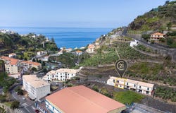 Ilha da Madeira, Madeira