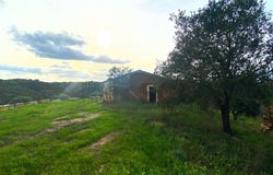 Aldeia Nova De São Bento, Beja 7830