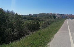 Tavarede, Coimbra District
