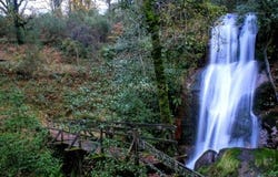 Salamonde, Braga