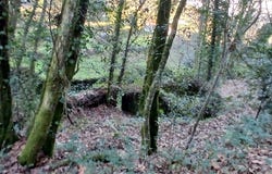 Quintiães e Aguiar, Braga