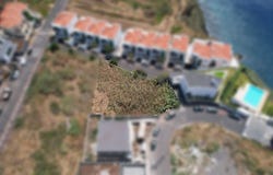 Ilha da Madeira, Madeira