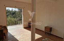 Serra e Junceira, Tomar, Santarém District 2300