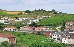 Canelas, Vila Real 5050