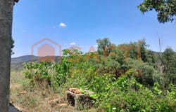 Monchique, Algarve