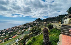 Ilha da Madeira, Madeira