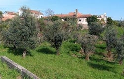 Pedrógão Grande, Leiria 3270-022