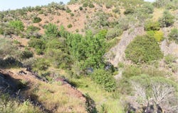 Castelo Branco, Castelo Branco District 6000