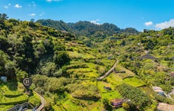 Ilha da Madeira, Madeira