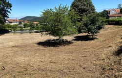 Esposende, Braga