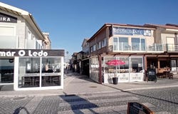Vieira de Leiria, Leiria District