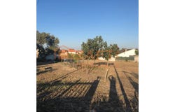 Barreiro e Lavradio, Setubal