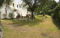 42 R. 11, Faro, Algarve 8800