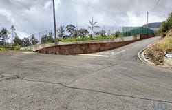 Canhas, Madeira 9360