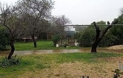 Albufeira, Faro 8200-429