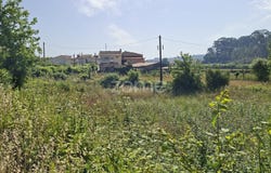 Trofa, Porto District