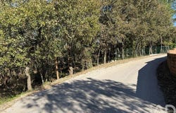 Leiria, Leiria District
