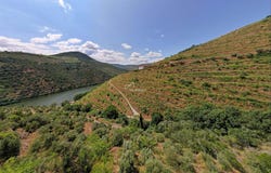 Vale de Mendiz, Casal de Loivos e Vilarinho de Cot, Vila Real 5085