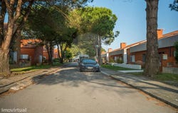 Torreira, Aveiro District
