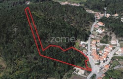 Oliveira de Azeméis, Aveiro District