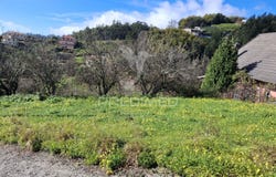 Camacha, Santa Cruz, Madeira