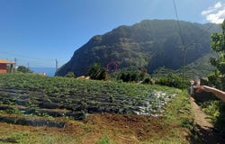 São Vicente, Madeira 9240